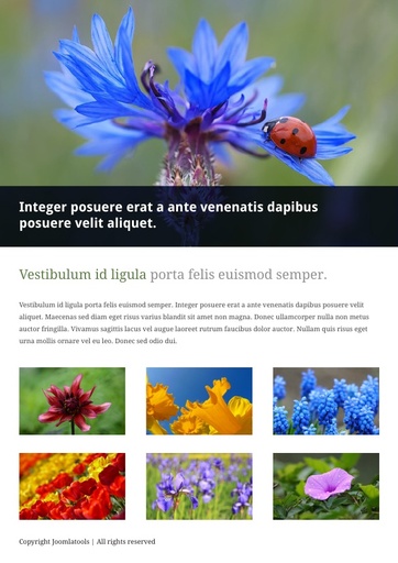Blue flower example